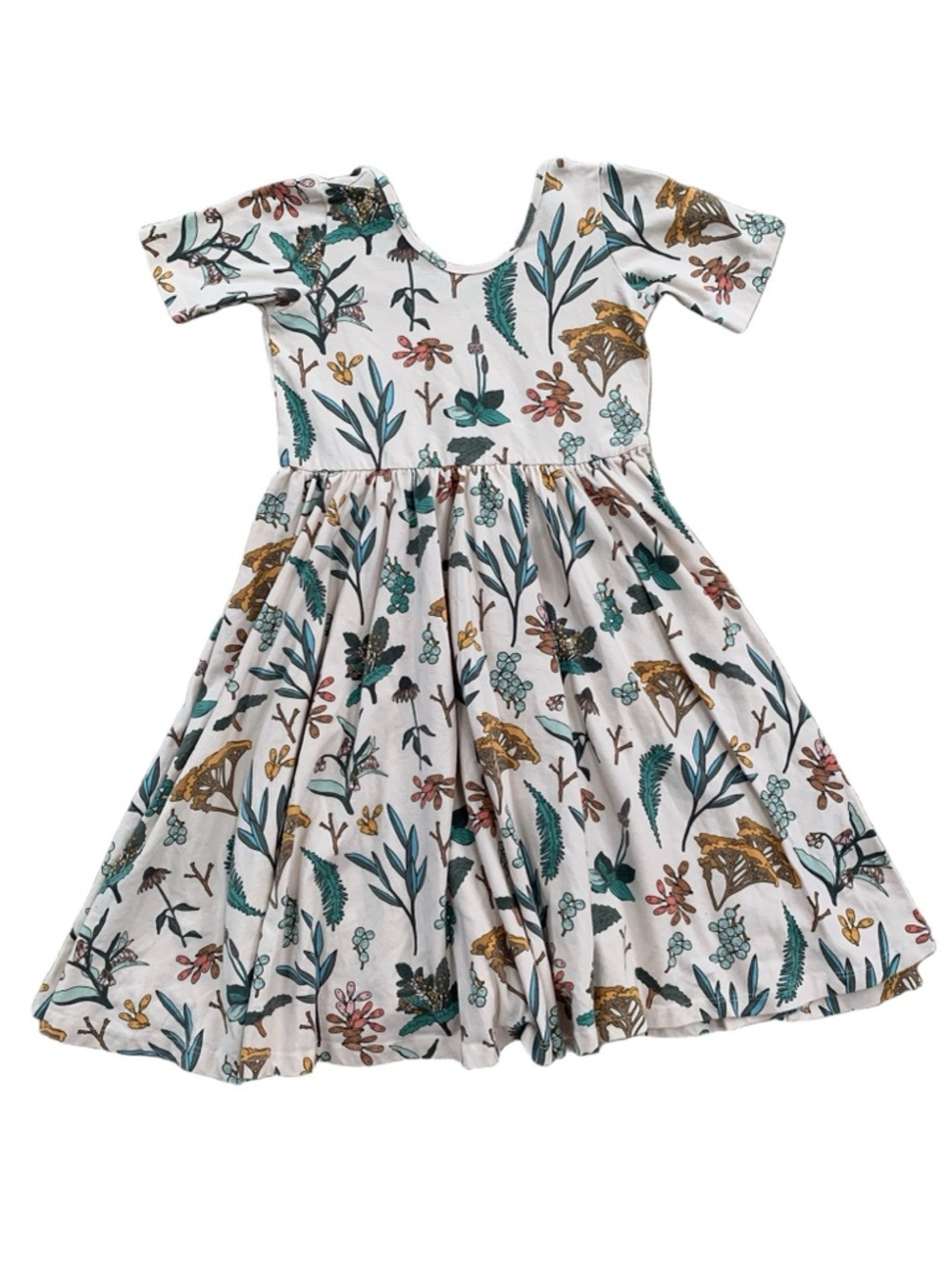 Alice + Ames Size 8 The Short Sleeve Ballet Twirl Dress in Herbal Study Plants